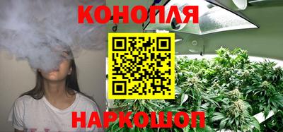 молекула духа Лесосибирск