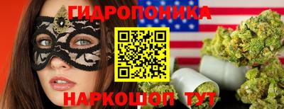 молекула духа Лесосибирск