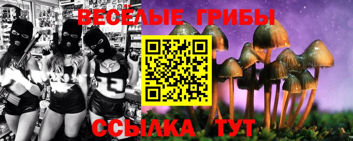 Дедовск  Галлюциногенные грибы Psilocybe  Вход с VPN 