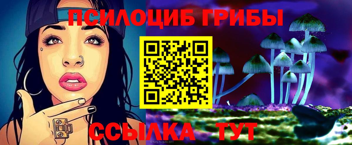 Галлюциногенные грибы ЛСД Дедовск