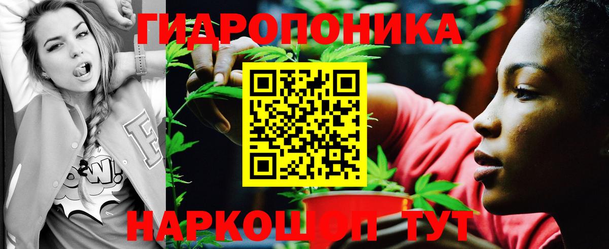 Каннабис MAZAR  МАРИХУАНА Bruce Banner  Дедовск  Вход с VPN 