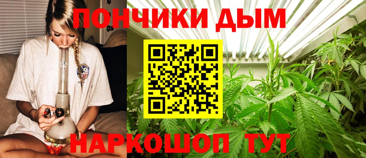 Бошки марихуана SATIVA & INDICA Дедовск